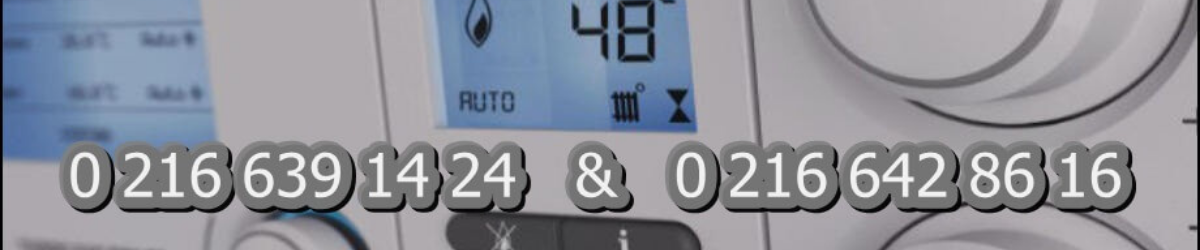 Kartal Baymak Servisi